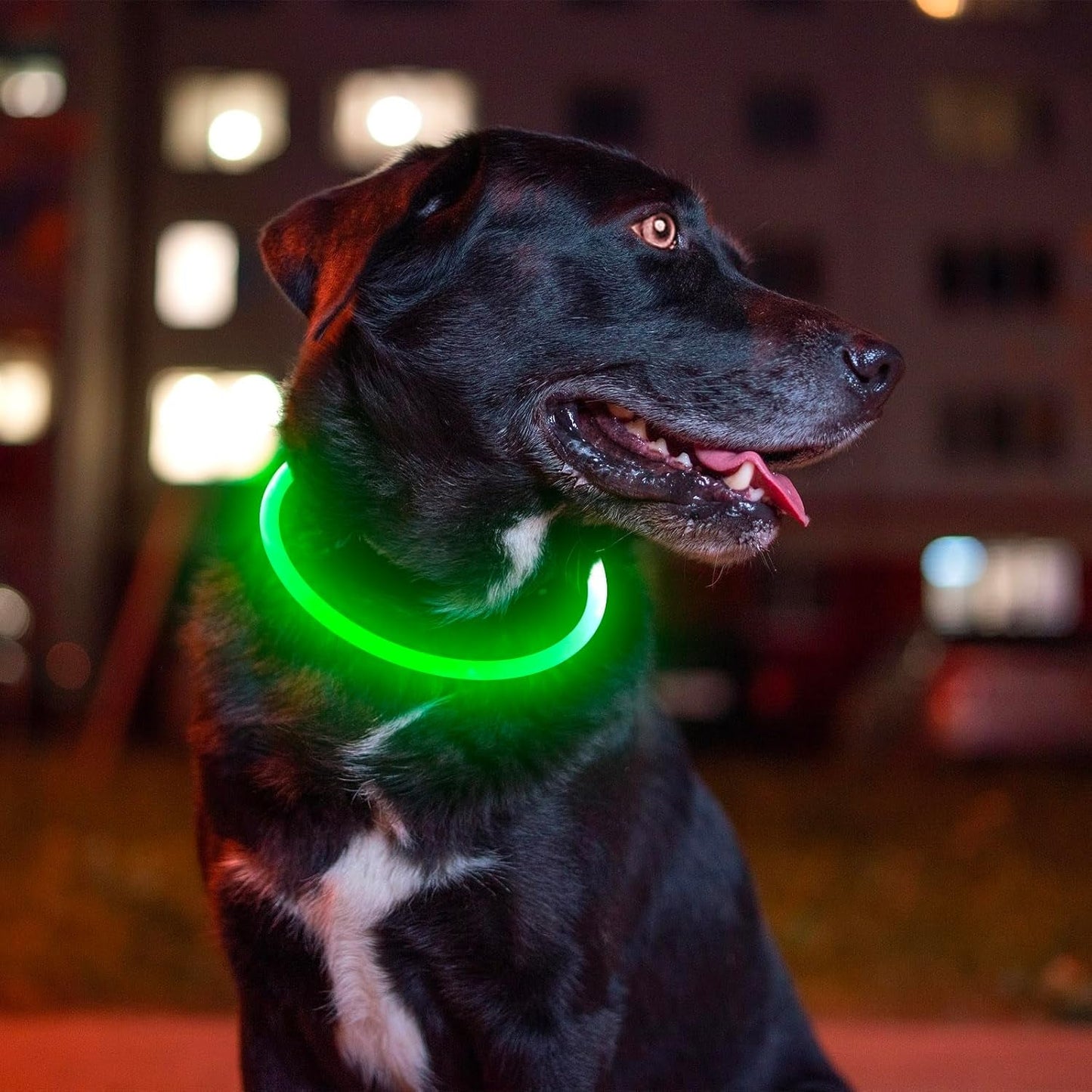 Led Dog Collar, USB Rechargeable Flash Dog Necklace Light, Pet Safety Collar Makes Your Beloved Dogs Be Seen at Night for Small Medium Large Dogs(Green)