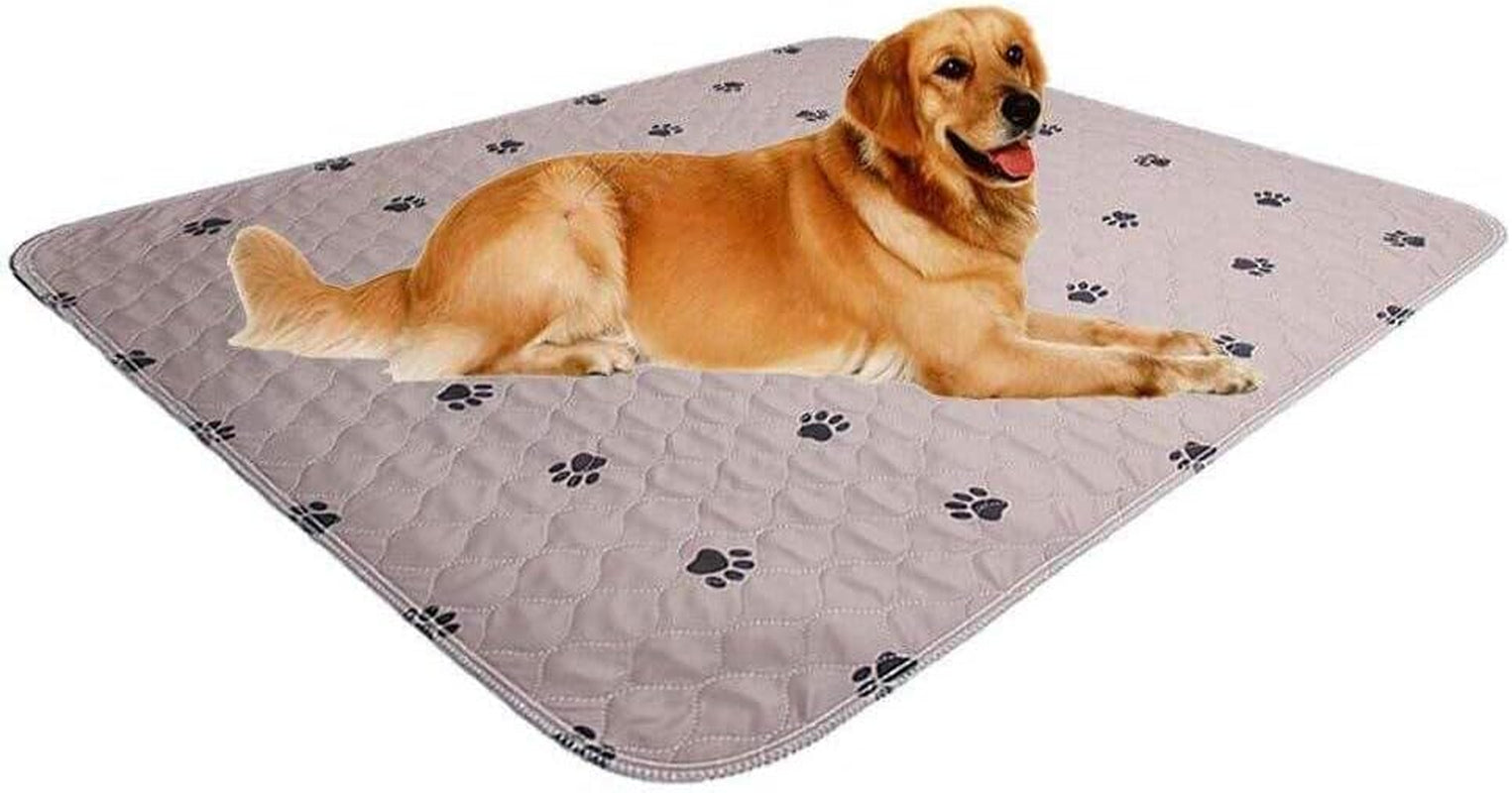 Washable Dog Pee Pads with Puppy Grooming Gloves,Puppy Pads,Reusable Pet Training Pads,Large ,Waterproof Pet Pads for Dog Bed Mat,Super Absorbing Whelping Pads,41X41 Inch (Pack of 2)