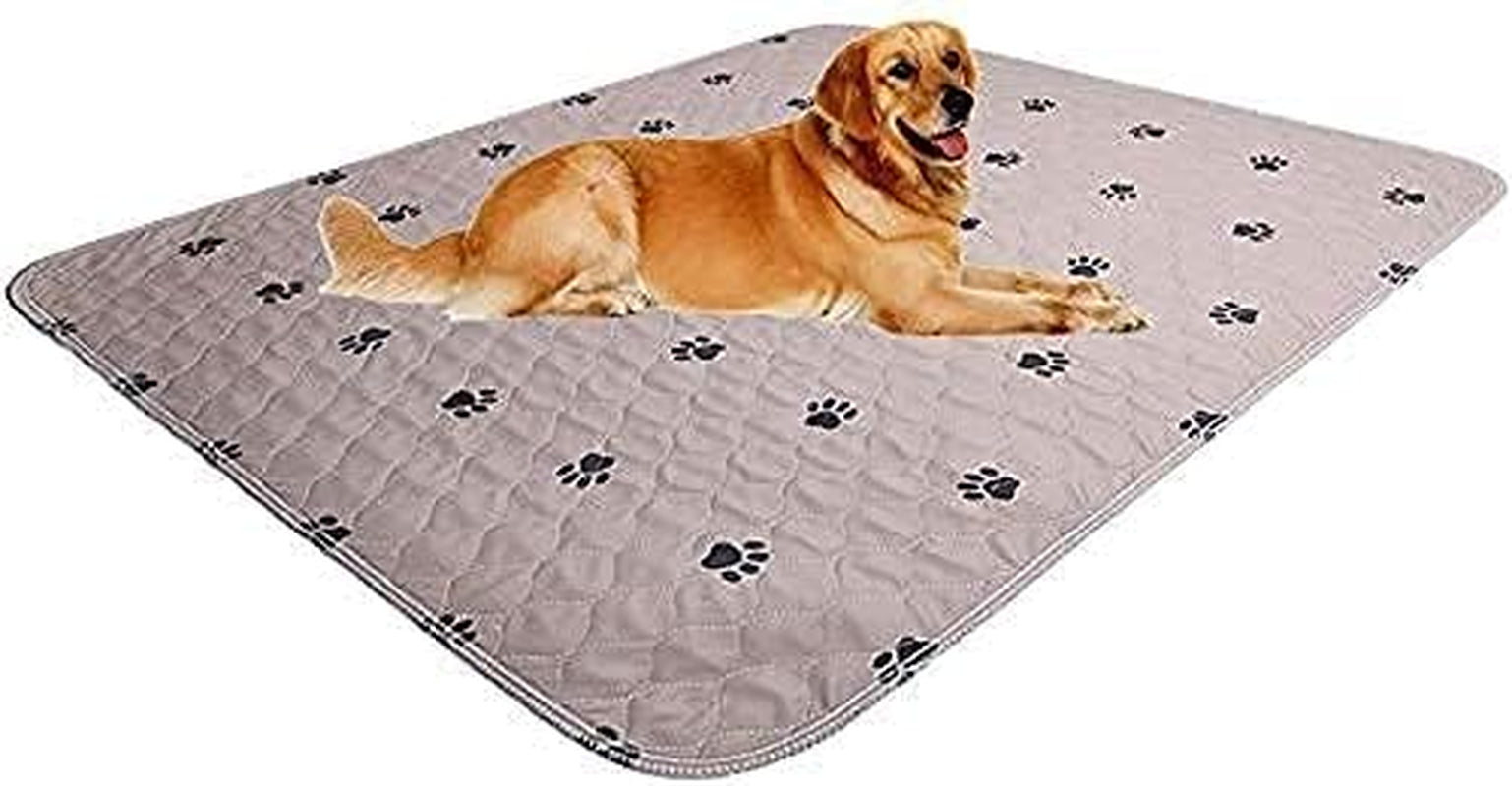 Washable Dog Pee Pads with Puppy Grooming Gloves,Puppy Pads,Reusable Pet Training Pads,Large ,Waterproof Pet Pads for Dog Bed Mat,Super Absorbing Whelping Pads,41X41 Inch (Pack of 2)