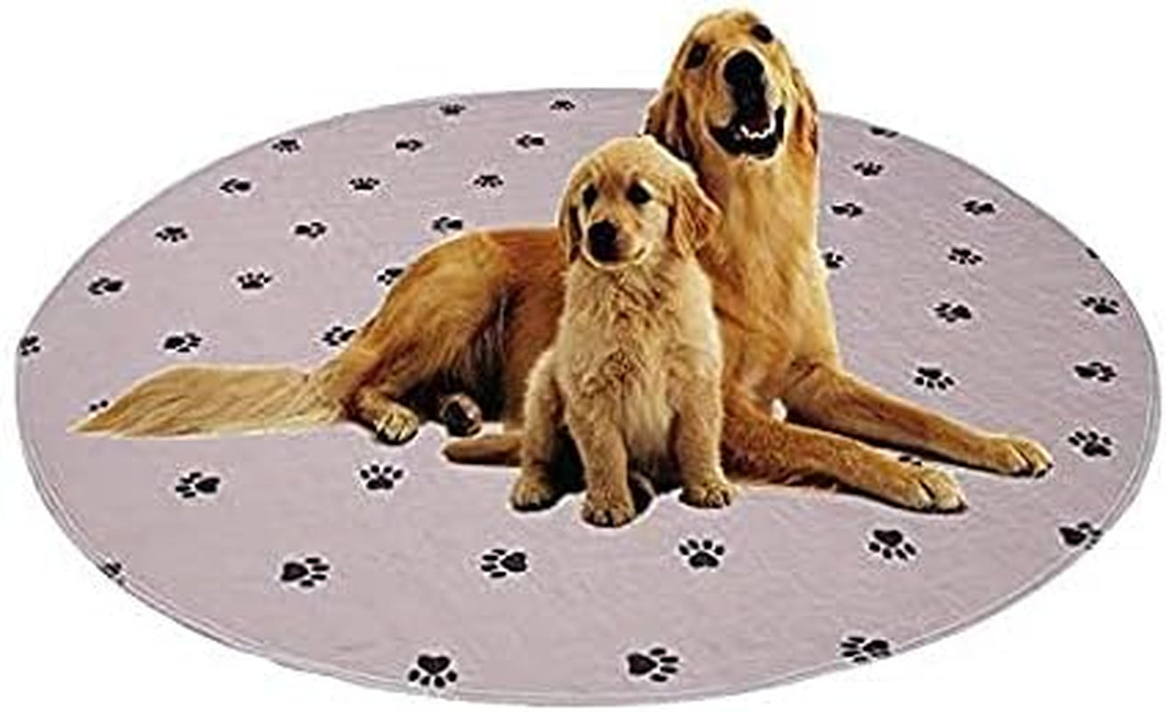 Washable Dog Pee Pads with Puppy Grooming Gloves,Puppy Pads,Reusable Pet Training Pads,Large ,Waterproof Pet Pads for Dog Bed Mat,Super Absorbing Whelping Pads,41X41 Inch (Pack of 2)
