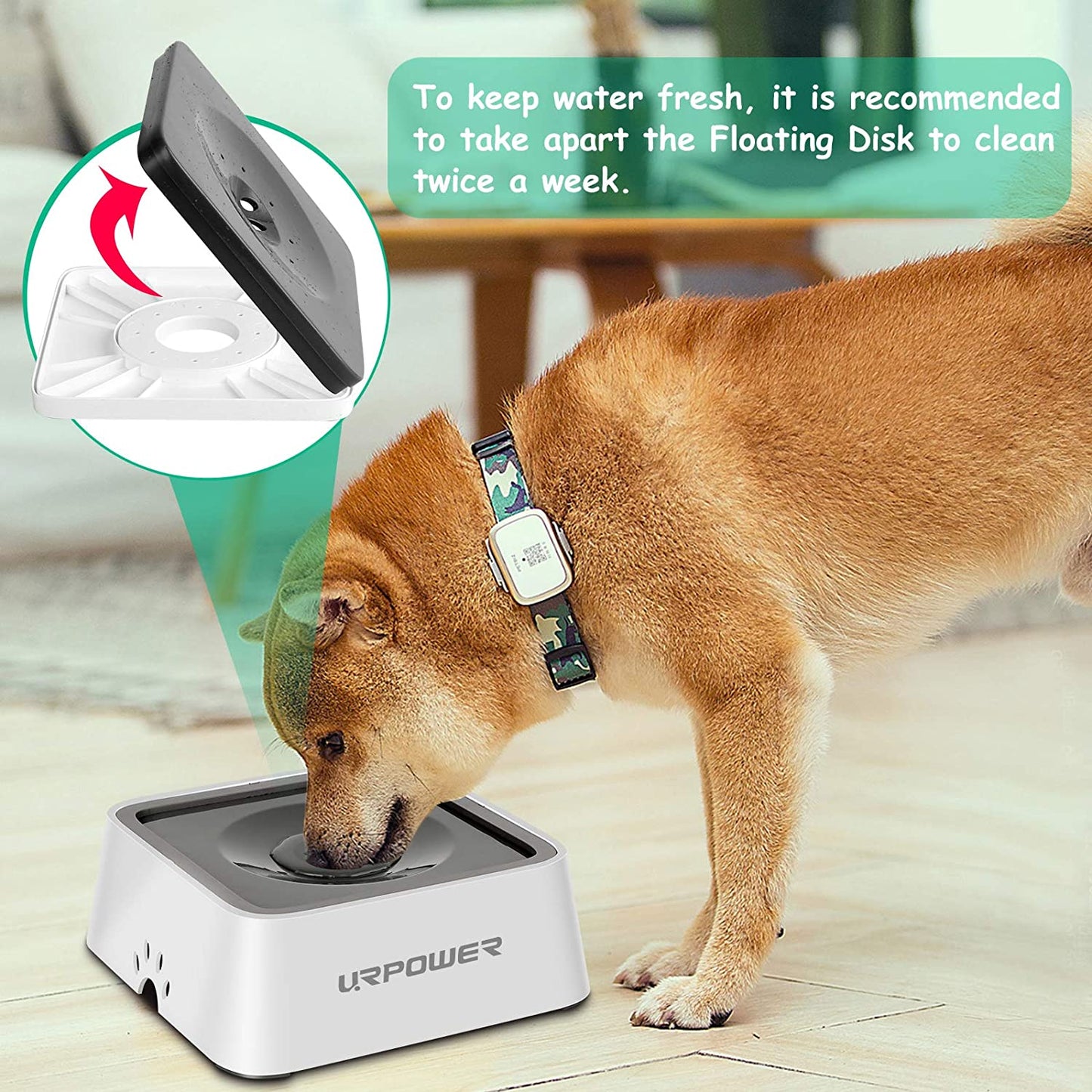 2.5L Large Capacity Dog Water Bowl - Spill-Proof Pet Water Dispenser for Messy Drinkers, Ideal Slow Feeder and Travel Bowl for Dogs, Cats, and Pets
