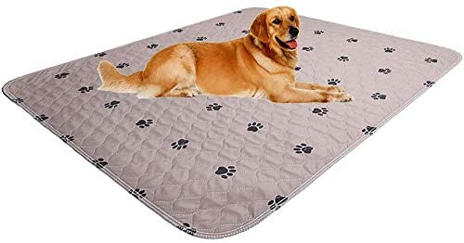 Washable Dog Pee Pads with Puppy Grooming Gloves,Puppy Pads,Reusable Pet Training Pads,Large ,Waterproof Pet Pads for Dog Bed Mat,Super Absorbing Whelping Pads,41X41 Inch (Pack of 2)