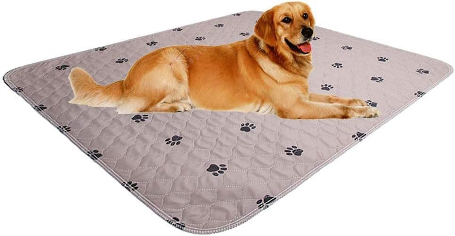 Washable Dog Pee Pads with Puppy Grooming Gloves,Puppy Pads,Reusable Pet Training Pads,Large ,Waterproof Pet Pads for Dog Bed Mat,Super Absorbing Whelping Pads,41X41 Inch (Pack of 2)