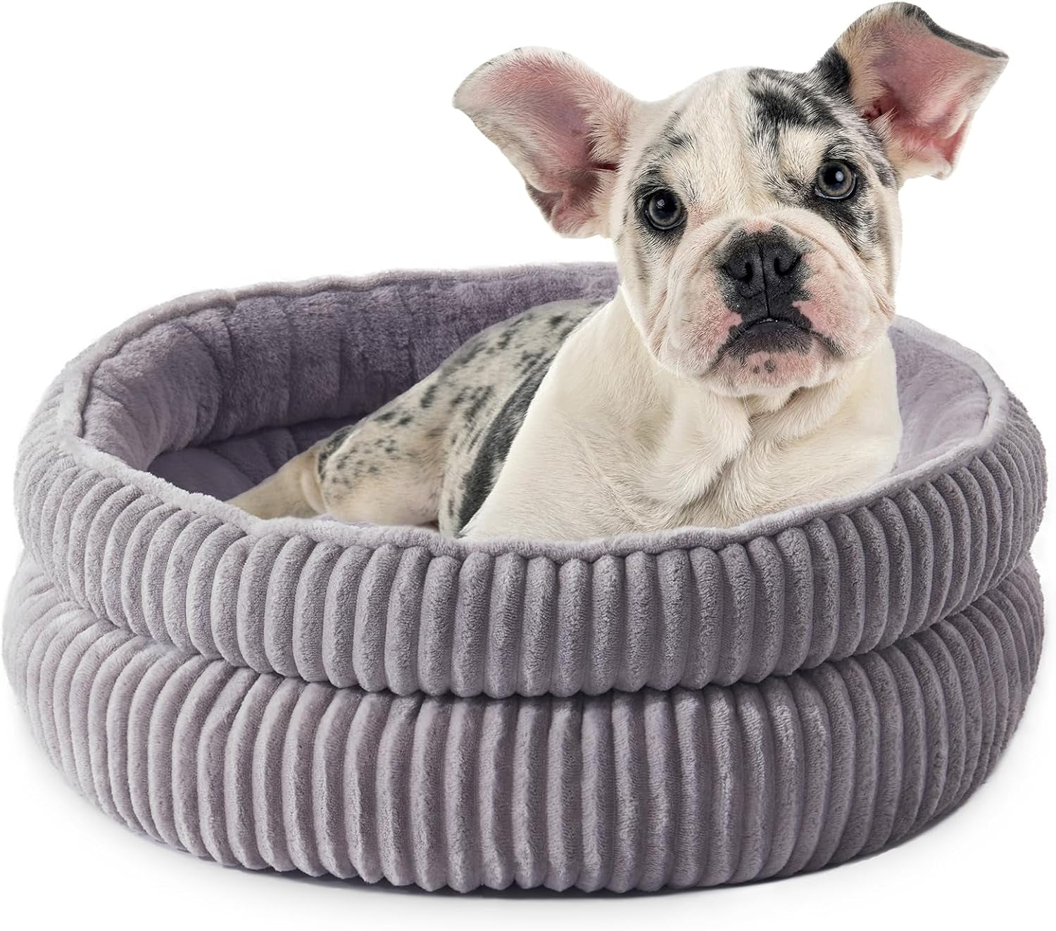 Cat Beds for Indoor Cats,Kitten Bed,Dog Bed for Extra Small Dogs Breeds,Puppy Kennel Bed, Comfy Durable Pet Sleeping Bed, Washable Roun Cat Beds & Non-Slip Bottom, Beige 18" L X 18" W X 7" Th